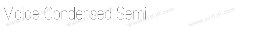 Molde Condensed Semi字体转换